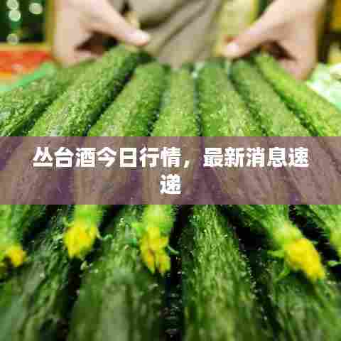 丛台酒今日行情，最新消息速递