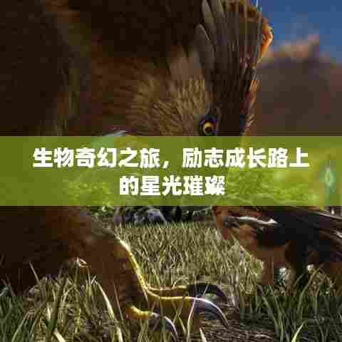 生物奇幻之旅，励志成长路上的星光璀璨