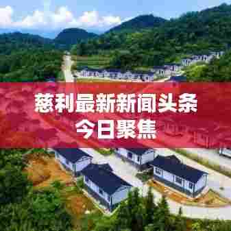 慈利最新新闻头条今日聚焦