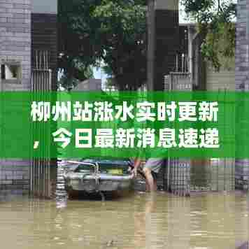 柳州站涨水实时更新，今日最新消息速递
