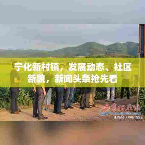宁化新村镇，发展动态、社区新貌，新闻头条抢先看