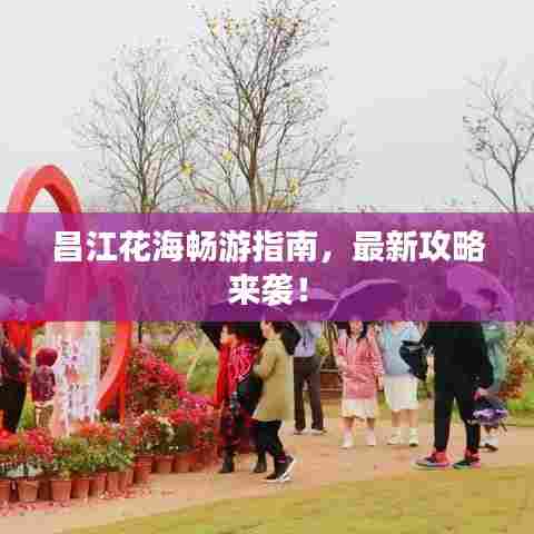 昌江花海畅游指南，最新攻略来袭！
