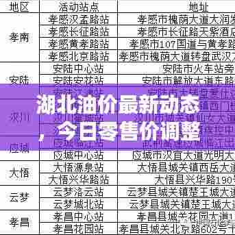 湖北油价最新动态，今日零售价调整及分析