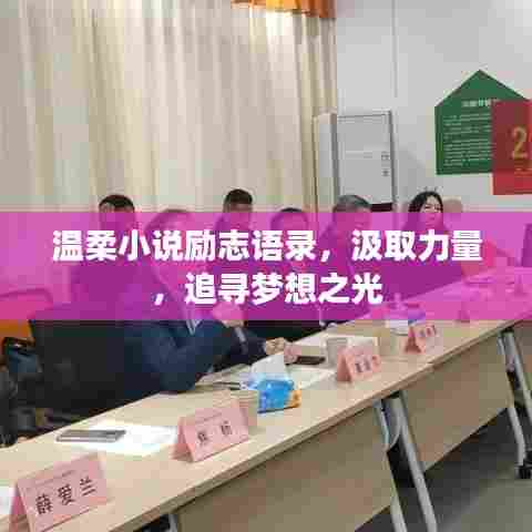 温柔小说励志语录，汲取力量，追寻梦想之光