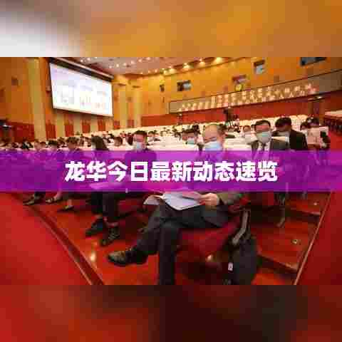 龙华今日最新动态速览