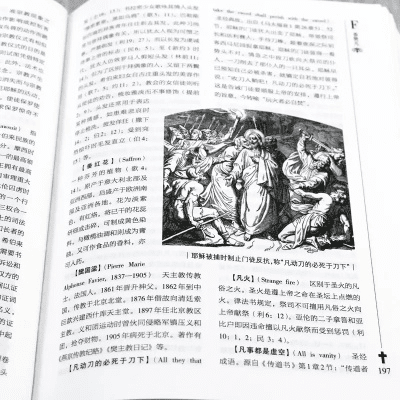 圣经 中文版本,全面理解执行计划-FT_v1.624