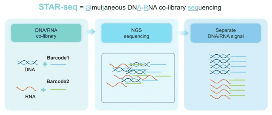 dnasp官方下载,深层数据设计解析_Console_v1.304