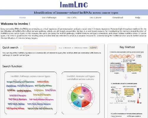 intemet官方下载,深层数据分析执行 免费版_v6.497
