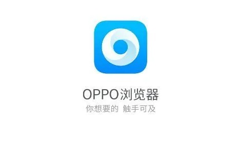 oppo浏览器老版本,全面数据解析说明_特别款_v2.314
