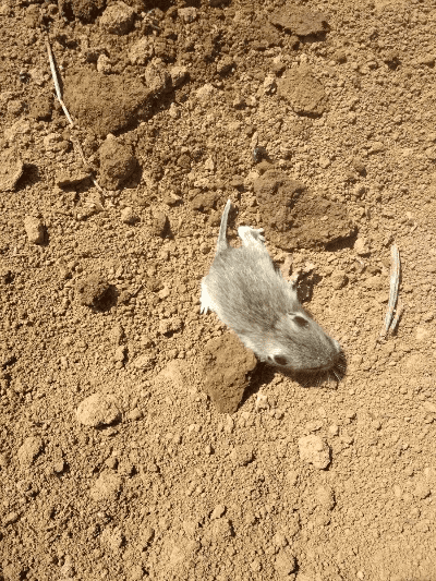 夫贵妻荣 第4页