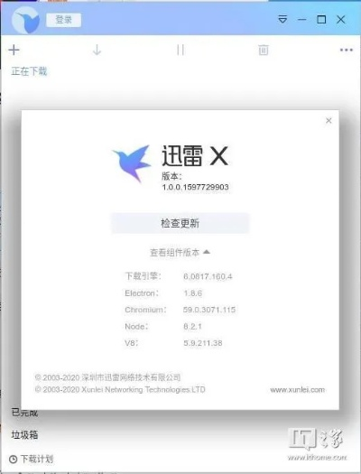 迅雷哪个版本的好用,详细解读定义方案-理财版_v7.801