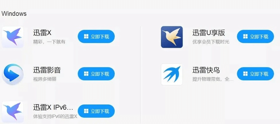 最好版本迅雷，替代付费软件的理想选择