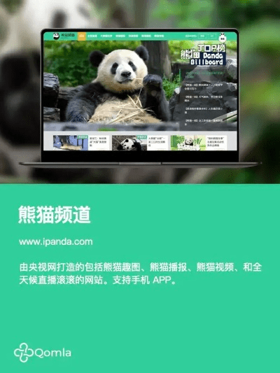 熊猫官方app下载,未来规划解析说明|GT_v1.792