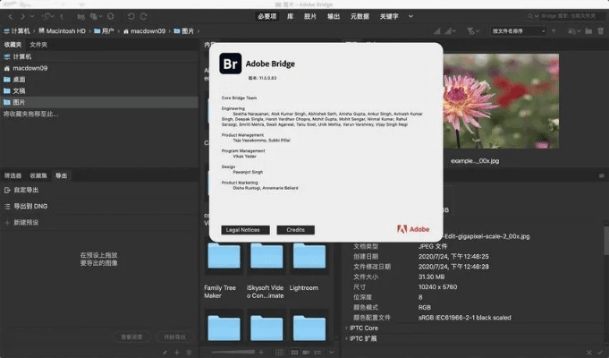 adobe官方下载,快速响应计划分析&amp;增强版_v8.310