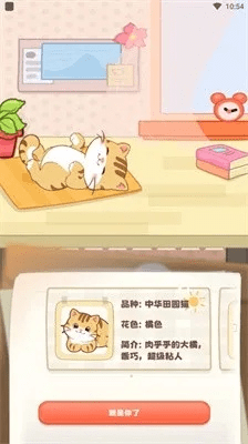 新版猫咪官方下载,快速计划解答设计_安卓版_v7.749
