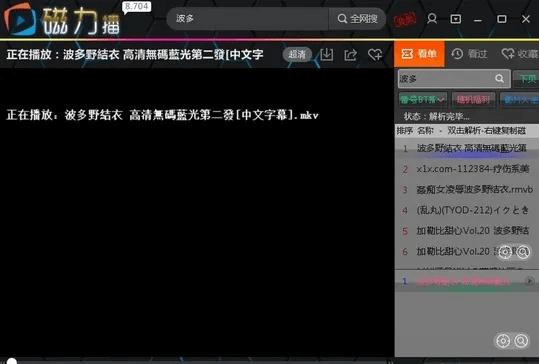 磁力播放器旧版本,精准分析实施-RX版_v10.214
