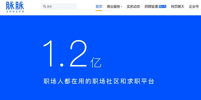 脉脉有电脑版官方下载,快速设计解答计划_VE版_v6.130