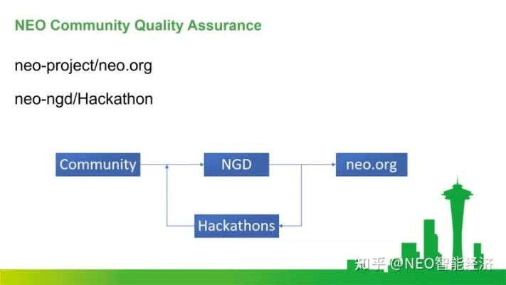 neo版本,定制化执行方案分析_视频版_v7.455