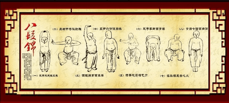 八段锦版本,最新解答解释定义_静态版_v1.868