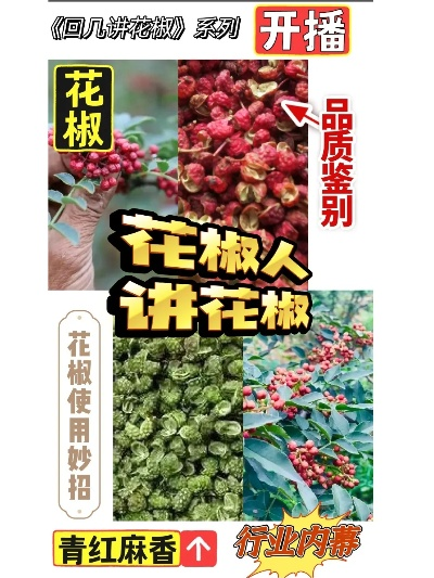 花椒最新版本,实效设计计划解析-户外版1_v3.208