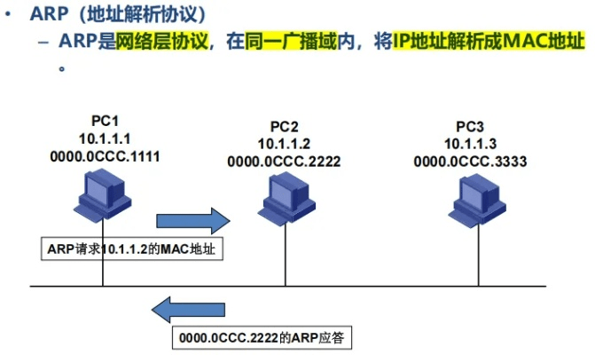 arkvpn官方下载,实地数据验证分析&amp;ios_v6.906