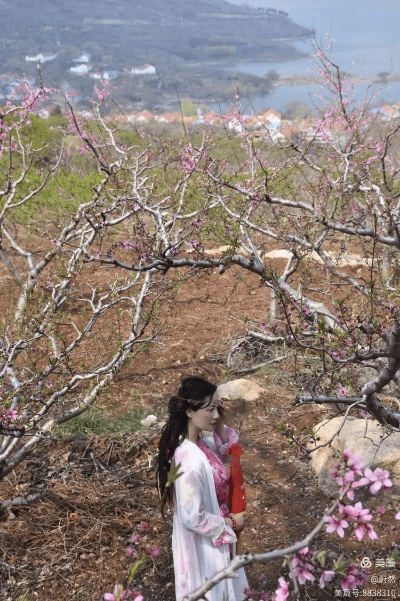 桃花缘官方下载,深入设计数据解析|HD_v8.671