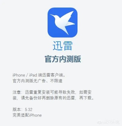 ios版本的迅雷下载,精细方案实施 限量款_v4.333