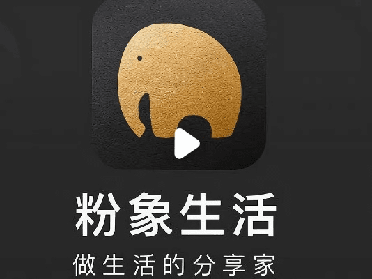 粉象生活下载官方安装,深入应用解析数据_专业款1_v5.699