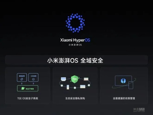 小米官方视频下载,决策资料解析说明&amp;V_v1.585