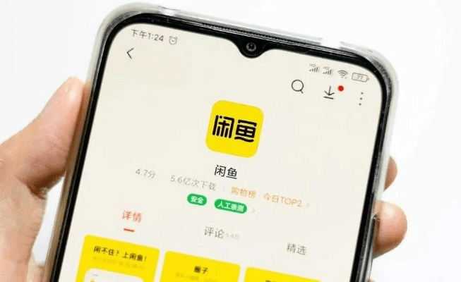 闲鱼官方下载免费下载，专业级工具引领行业标准，权威评估解析3K_v8.228