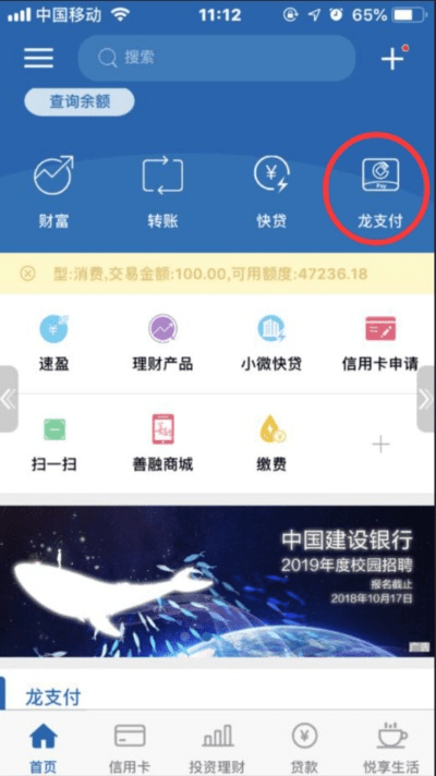 建行官方手机银行下载,重要性解释定义方法 领航版_v10.175