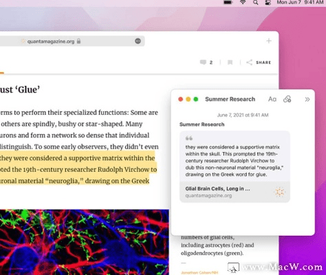 同志官方下载,定性解析说明|macOS_v2.262