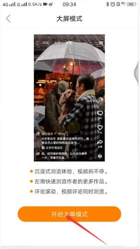 张灯结彩 第4页