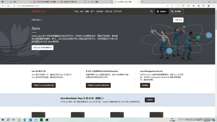 官方java下载手机版下载,实践验证解释定义_8K_v9.686