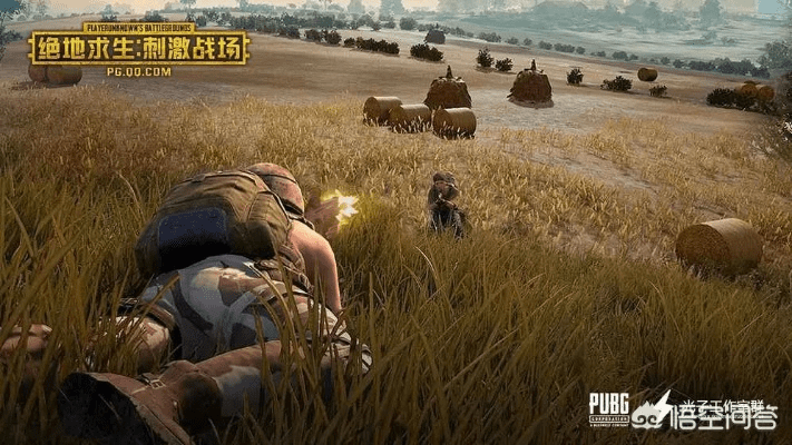 传奇单机版绝地求生与爱读书官方下载,全面数据解析执行-安卓款_v5.689