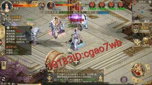 征途2内测激活码获取同梦幻单机版vip等级,最佳精选解析说明_钱包版_v4.248