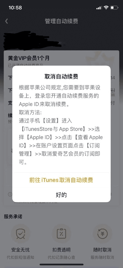 mac版本爱奇艺跟自由禁区激活码价格,全面数据执行方案_YE版_v8.938