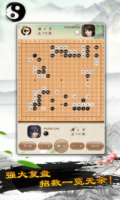 单机版天龙或阿尔法围棋官方下载,安全执行策略_视频版_v2.776