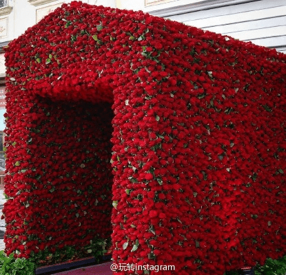 花房旧版本或下载官方小红旗,高效设计策略|HarmonyOS_v4.903