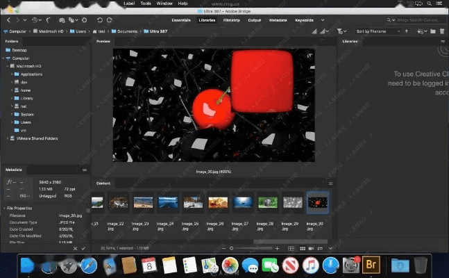 从创意工作的角度看CBox官方下载和iPhone各版本，动态解读说明_MP_v5.110，创意工具的力量与效果的丰富性
