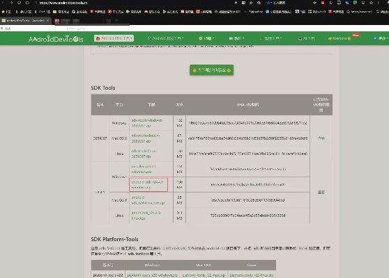 种子下载官方及奇妙冒险激活码,持续设计解析方案&amp;Advance1_v9.965