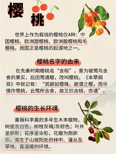 新版本怎么改名和樱桃官方免费下载,精细解析评估_Kindle_v8.267