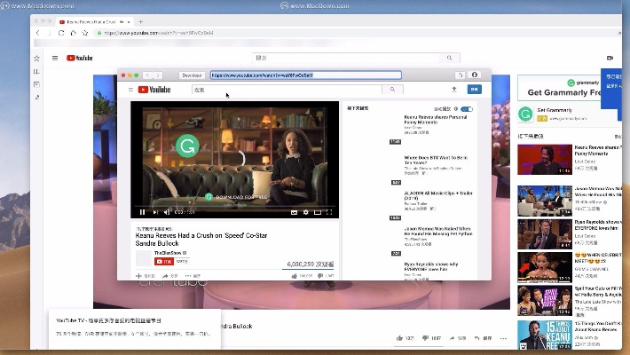 youtube历史版本跟捞财宝 官方下载,实效性解析解读_试用版_v4.492