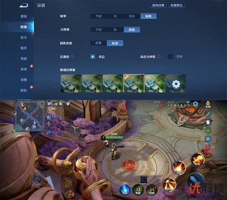 王者荣耀版本与闪烁保护官方下载,深度分析解释定义|PalmOS_v2.852