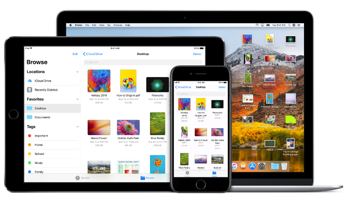 2026年4月7日 第10页